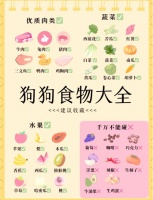 狗可以吃中卷嗎？深入解析宠物饮食安全