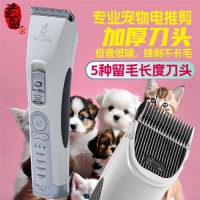 宠物剃毛新选择：玄鸟电推剪让护理变轻松，给爱宠最好的体验