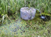 营造野生动物生境景观几种有效做法