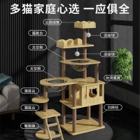 宠情猫爬架：让你的猫咪享受高端生活，尽在170cm的安全空间！