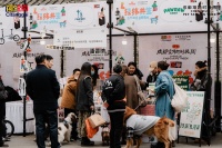 四川观察：首届成都宠物时装周启幕
冬日暖阳里，一场萌宠时尚热潮席卷蓉城。日前，第一届成都宠物时装周在青羊区祠堂街艺术社区启幕。活动汇聚35+宠物及宠物友好品牌、10+特色时装发布，打造集时尚展示、互动体验、公益倡导于一体的人宠和谐新场景，为冬日成都注入满满暖意。
此届时装周以“经纬共生”为核心主题，“经纬”既象征服装的编织艺术，亦呼应成都错落有致的街巷格局；“共生”则传递人宠和谐共处、多元群体包容...