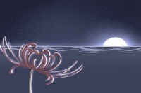 鱼是不是不能随便送人