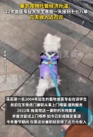 兽医专业大学生寒假兼职喂猫遛狗，一天接18单，几天收入近万元