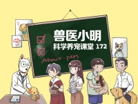 养猫的铲屎官，你家有专用的医药箱吗？兽医准备的清单了解一下