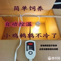 [热风炉批发]热风炉 小鸡保温箱自动控温鹌鹑保温箱小鸟宠物育雏保温自动加热价格39.9元/套