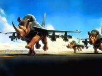 支招｜全球各大航空公司宠物托运规定整理 宠物托运需要准备什么