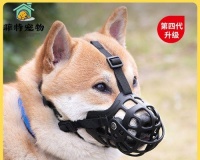 老年狗不吃饭怎么办（从饮食、环境、健康等多方面入手）-宠物百科-番茄宠物网