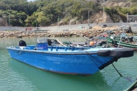 涉案金额约2000万元！福州海警破获珍贵品种鹦鹉蛋走私案