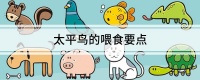 太平鸟的喂食要点