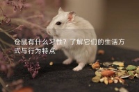 仓鼠有什么习性？了解它们的生活方式与行为特点
