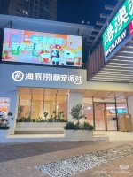 海底捞宠物友好餐厅开在哪
