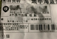 数百只猫狗被当“盲盒”售卖！中通深夜致歉