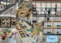 长江大学昆虫标本馆举办“探秘昆虫王国，点燃科学好奇”科普开放日活动