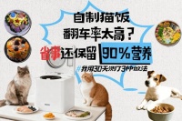 自制猫饭翻车率太高？我用30天测了3种做法，省事还保留90%营养