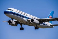 青岛宠物空运 观赏鱼运输费用