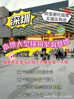 深圳最大的宠物市场在哪里？这里有你想要的还能亲自挑选宠物哦