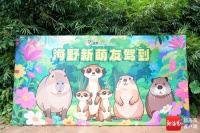 来打卡！海南热带野生动植物园萌宠“上新”