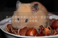 养仓鼠需要准备什么东西？新手饲养仓鼠必备物品清单全攻略
