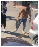 猫咪死死抱住主人大腿不放手，众人得知理由后笑翻，猫：我不去