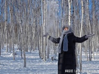 带宠物家庭雪乡4天3夜攻略？不如先看可行性与附加费