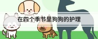 在四个季节里狗狗的护理
