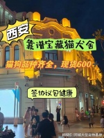 西安哪个猫狗舍比较有名口碑比较好?这买宠物放心能去实体店挑选