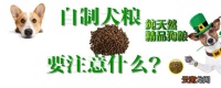 自制犬粮要注意什么