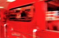 宠物繁殖除了有钱，还要有经验和知识！