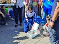 “中轴鸟韵”科普沙龙举办，挖掘中轴线上的生态美