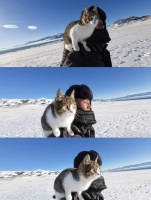 科普·流量明星