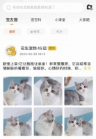 花生宠物 V3.2.3 安卓版