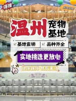 温州买宠物猫狗哪里便宜？这里专业安全可亲自挑选宠物