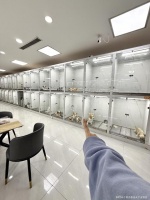 青岛人还有不知道的吗？这俩宠物基地很多小猫小狗！