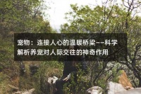 宠物：连接人心的温暖桥梁——科学解析养宠对人际交往的神奇作用