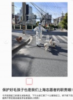 我的记“疫”|骑行十公里，高中生志愿者救下4只无人看管的宠物狗_浦江头条-The Paper