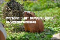 养仓鼠有什么用？探讨其对儿童成长和心理健康的积极影响