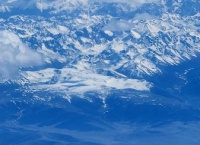 怎么让仓鼠躺手睡觉