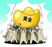 库克颇犬喂养攻略：幼成老三阶段食法全解析