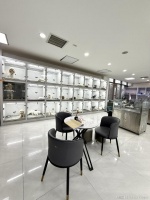 青岛同城宠物基地！很多小猫小狗可以选择！