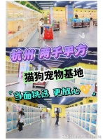 杭州哪里正规犬舍猫舍基地?包你安心能当面挑选自己心仪的宠物