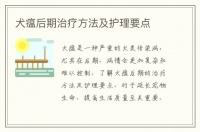 犬瘟后期治疗方法及护理要点