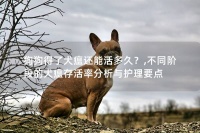 狗狗得了犬瘟还能活多久？,不同阶段的犬瘟存活率分析与护理要点