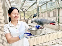 宠物鹦鹉竟是国家一级保护动物！林业部门紧急提醒→