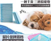 狗狗咬尿片的行为如何纠正？有效的方法有哪些？