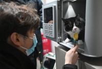 年的声音·新的故事丨陪伴、坚守和相遇