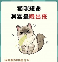 成年猫误食幼猫粮会有何后果？