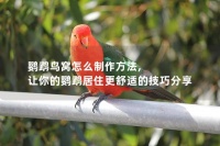 鹦鹉鸟窝怎么制作方法, 让你的鹦鹉居住更舒适的技巧分享