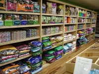 宠物狗带养带训