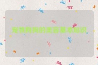 宠物狗狗美容知识