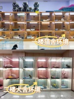 长沙买博美犬哪里有实体店？这里性价比高还能亲临现场挑选宠物【官方店铺】